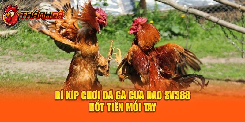 Bí kíp chơi đá gà cựa dao Sv388 hốt tiền mỏi tay