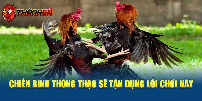 Chiến binh thông thạo sẽ tận dụng lối chơi này