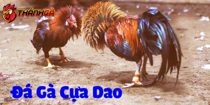 Tham gia đặt cược hấp dẫn