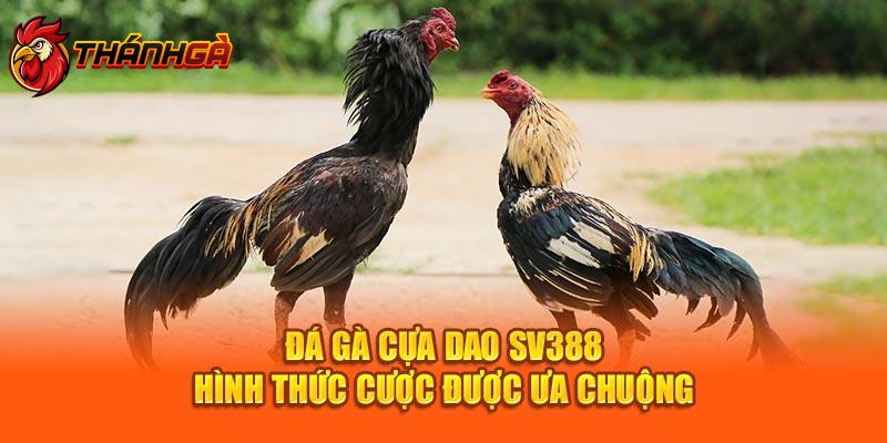 Đá Gà Cựa Dao Sv388 - Hình Thức Cược Được Ưa Chuộng