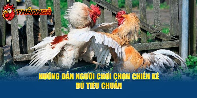 Hướng dẫn người chơi chọn chiến kê đủ tiêu chuẩn