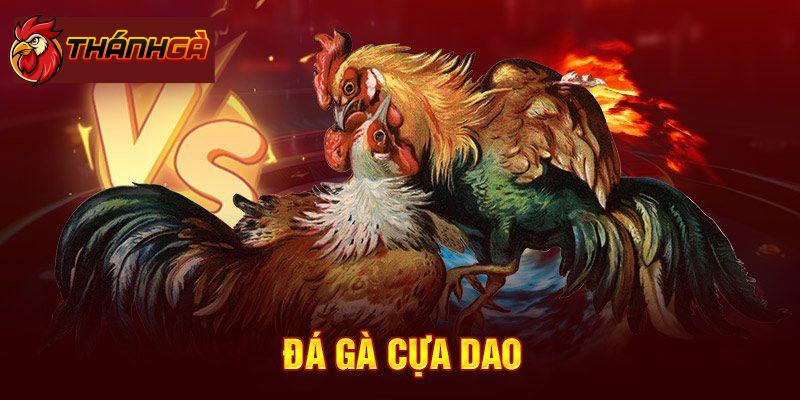 Hướng dẫn cách tham gia tại chuyên trang Đá Gà Cựa Dao