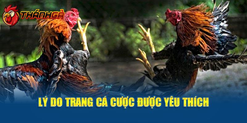 Lý do trang cá cược được yêu thích