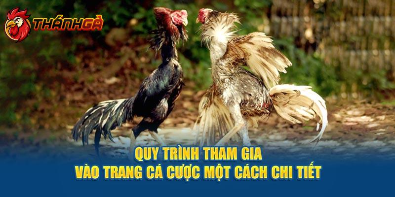 Quy trình tham gia vào trang cá cược một cách chi tiết