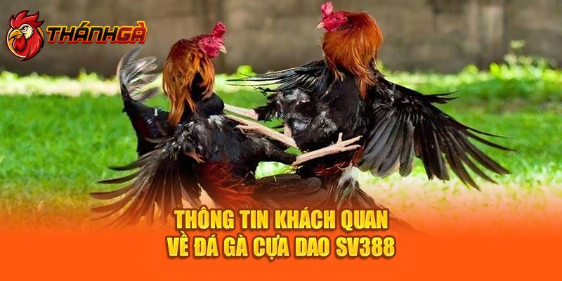 Thông tin khách quan về đá gà cựa dao Sv388 