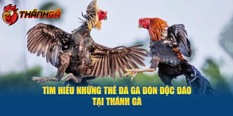 Giới thiệu về bộ môn đá gà đòn